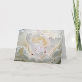 Tarjeta de felicitación de fotografías en blanco P