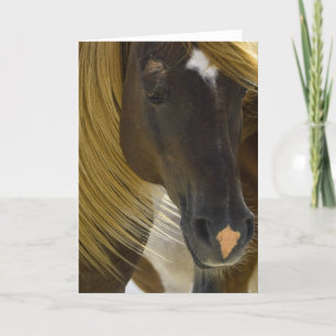 Tarjeta de felicitación de fotos de caballos de Mu