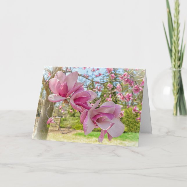 Tarjeta de felicitación de fotos de la magnolia ro (Anverso)