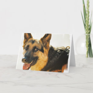 Tarjeta de felicitación de fotos de perro pastor a