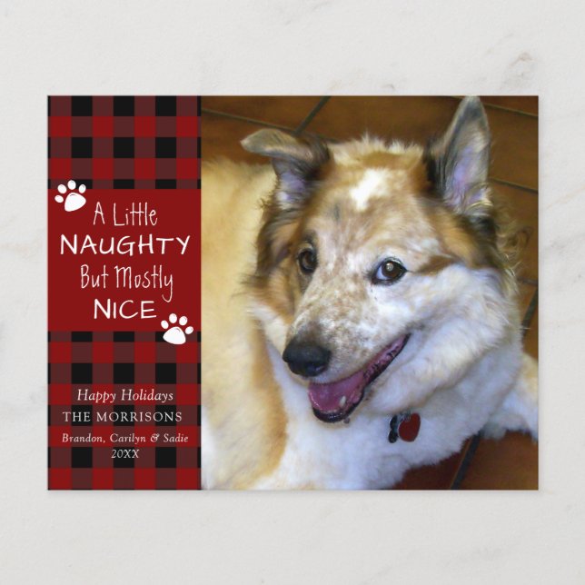 Tarjeta de felicitación de fotos de perros travies (Anverso)