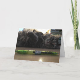 tarjeta de felicitación de gatito #2