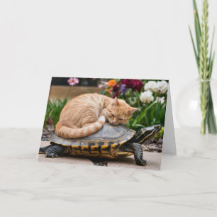 Tarjeta de Felicitación de Gatito Atigrado y Tortu