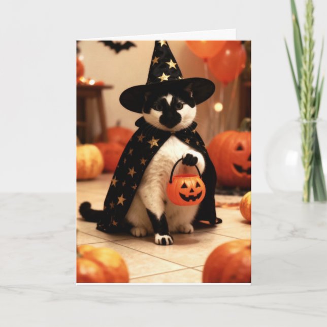 Tarjeta de felicitación de gato doblada (Anverso)