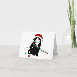 Tarjeta de Felicitación de Gato Fold Escocés de Sa