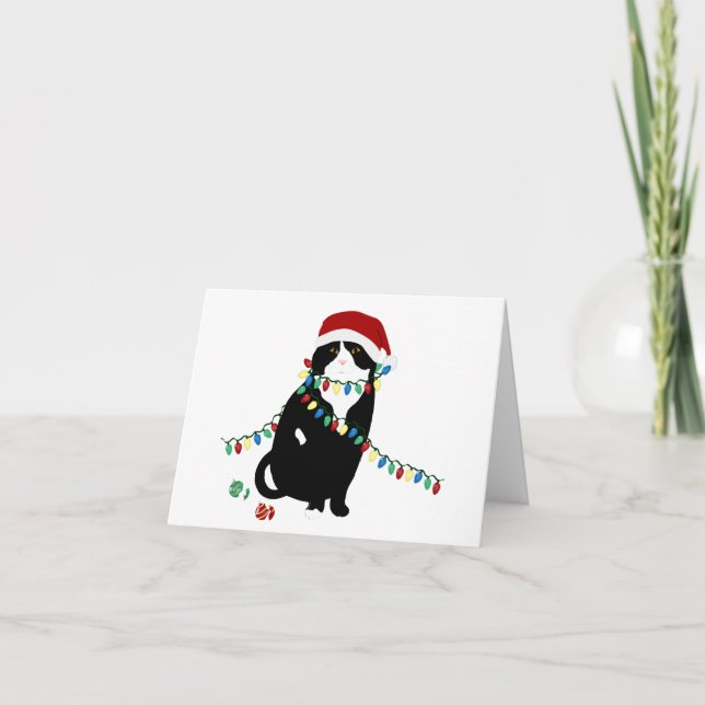Tarjeta de Felicitación de Gato Fold Escocés de Sa (Anverso)