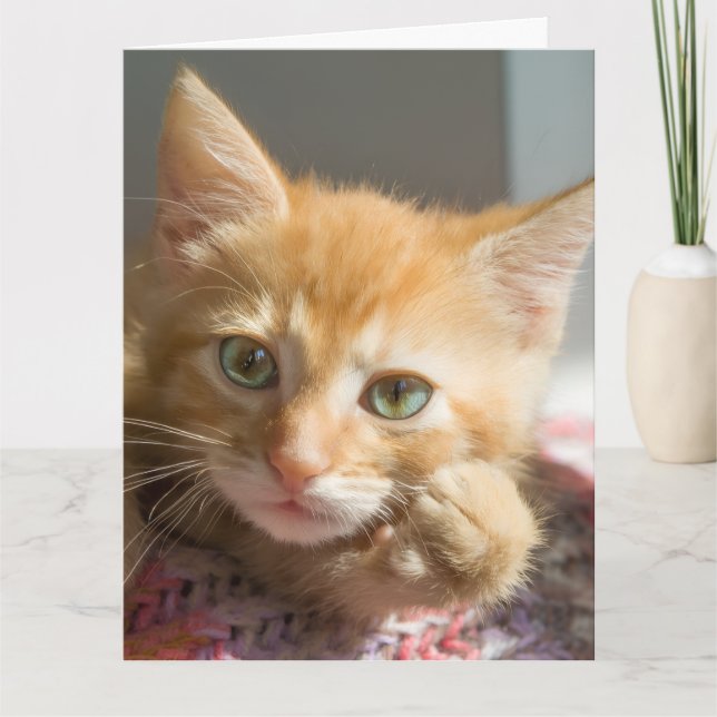 TARJETA DE FELICITACIÓN DE GATO GATITO GINGER CUMP (Anverso)