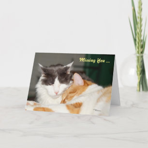 Tarjeta de felicitación de gatos Miss y Love you