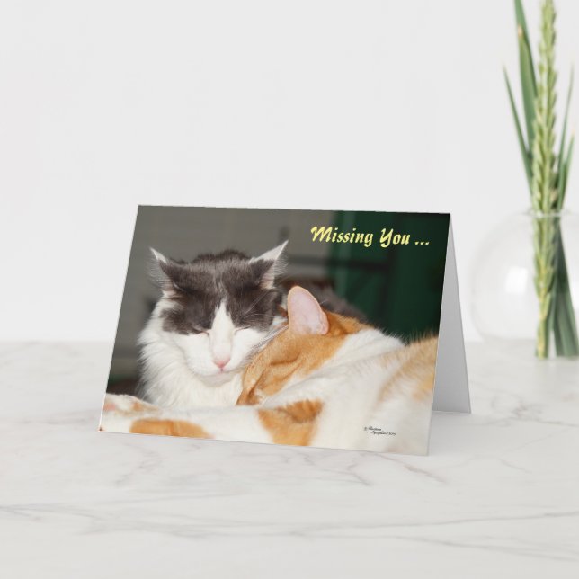 Tarjeta de felicitación de gatos Miss y Love you (Anverso)