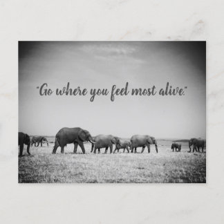 Tarjeta de felicitación de generaciones de elefant