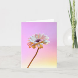 Tarjeta de felicitación de Gerbera Daisy White