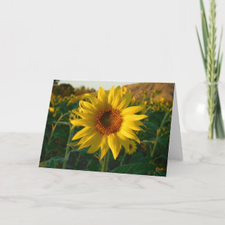 Tarjeta de felicitación de girasol brillante