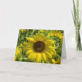 Tarjeta de felicitación de girasol grande