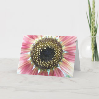 Tarjeta de Felicitación de Girasol Rosa Bonito