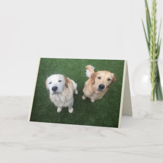 Tarjeta de felicitación de Golden Retriever en bla