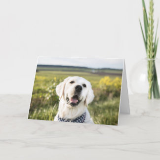 Tarjeta de felicitación de Golden Retriever "You m
