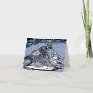 Tarjeta de felicitación de great dane "héroe y
