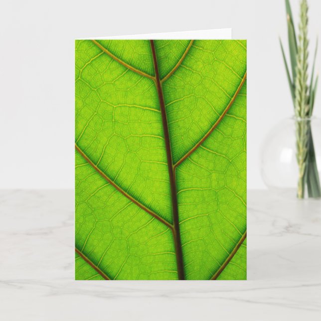 Tarjeta de felicitación de Green Leaf (Anverso)
