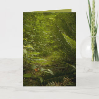 Tarjeta de felicitación de hadas de la fotografía