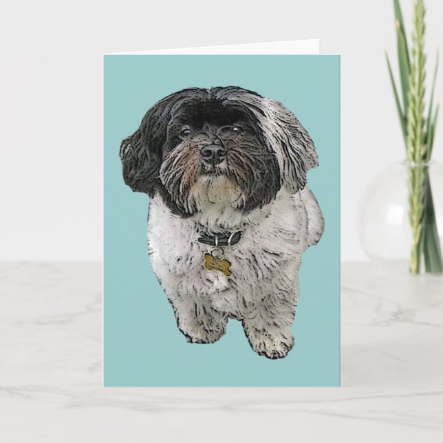 Tarjeta de felicitación de Havanese (Anverso)