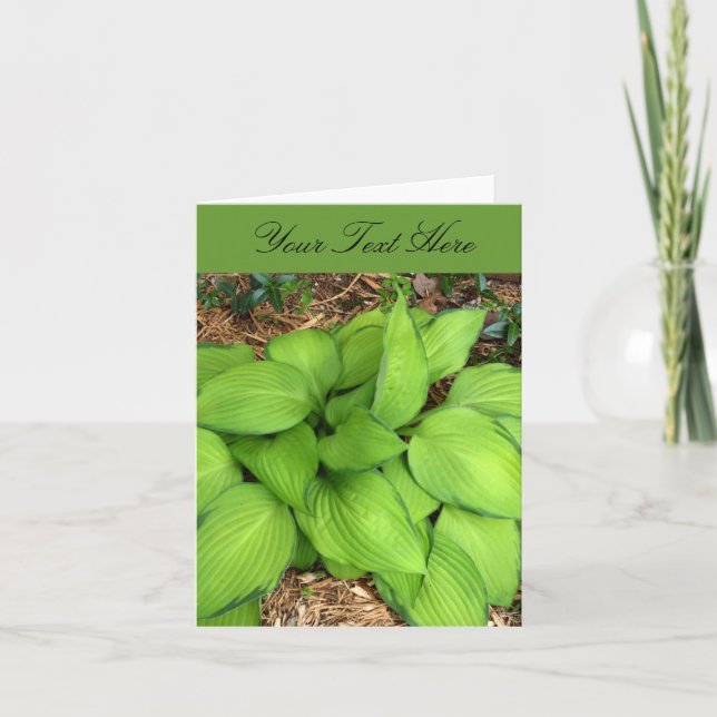Tarjeta de felicitación de hojas verdes de Hosta (Anverso)
