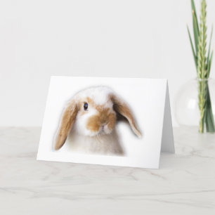 Tarjeta de felicitación de Holanda Lop