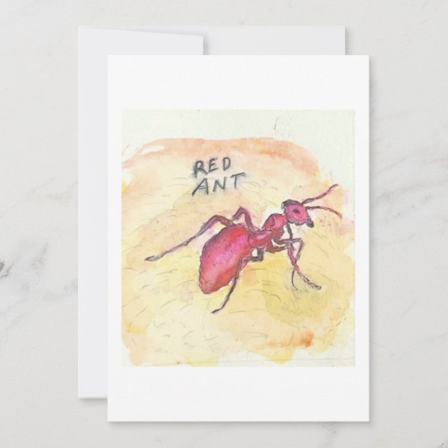 Tarjeta de Felicitación de Hormiga Roja (Anverso)