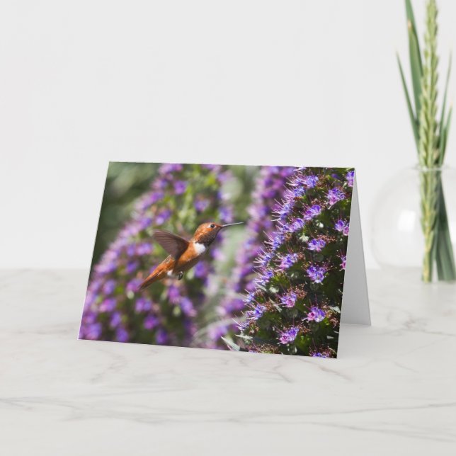 Tarjeta de felicitación de Hummingbird (Anverso)