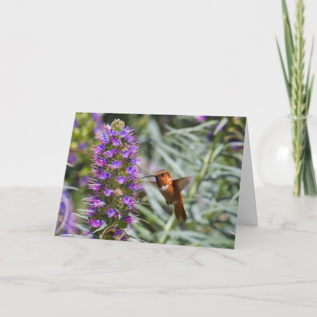 Tarjeta de felicitación de Hummingbird (Anverso)