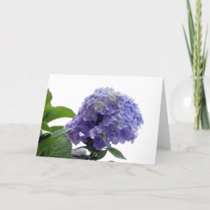 Tarjeta de felicitación de Hydrangea Bush