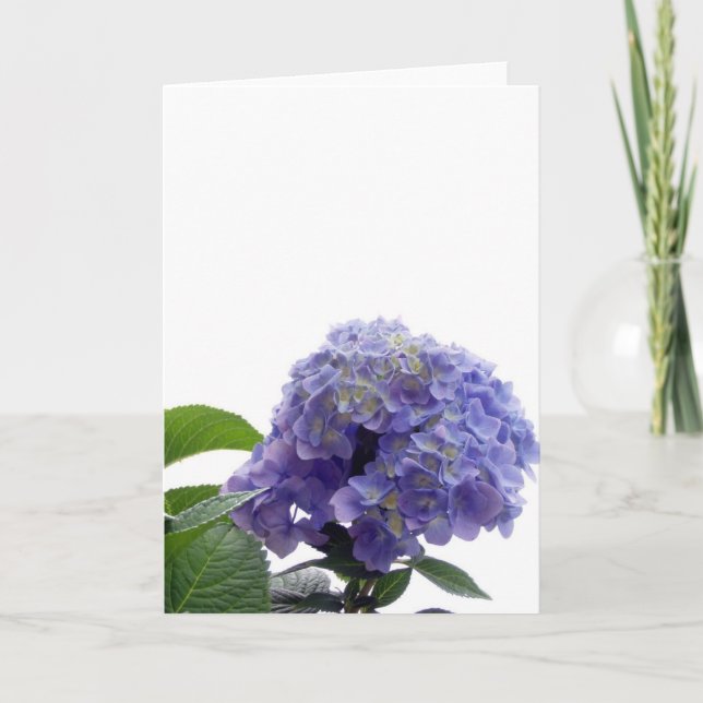 Tarjeta de felicitación de Hydrangea Bush (Anverso)