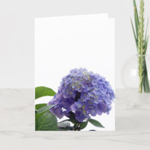 Tarjeta de felicitación de Hydrangea Bush