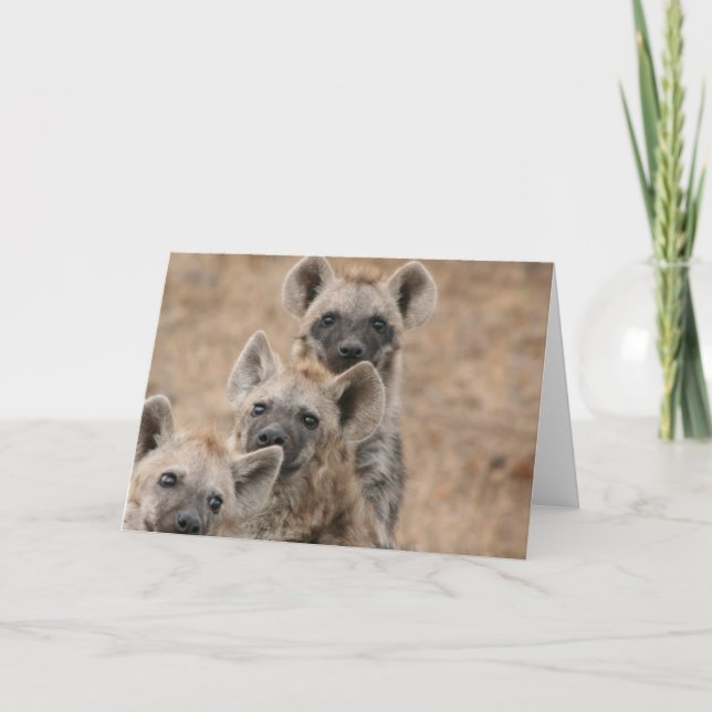 Tarjeta de felicitación de Hyenas (Anverso)