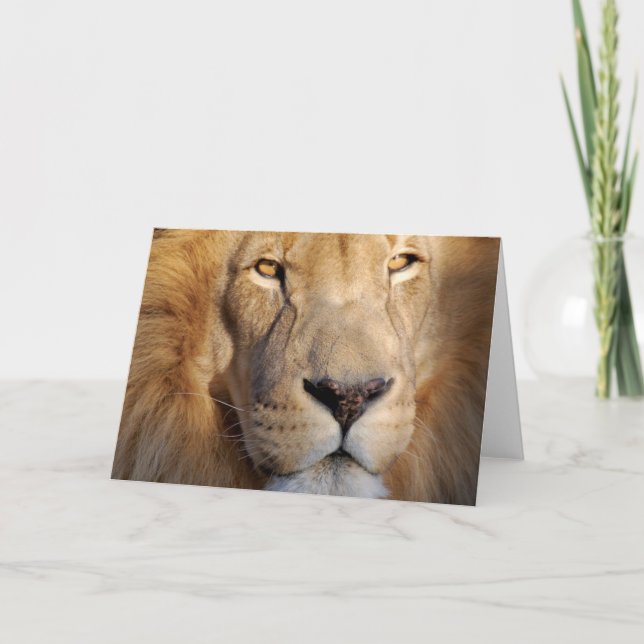 Tarjeta de felicitación de imágenes de león (Anverso)