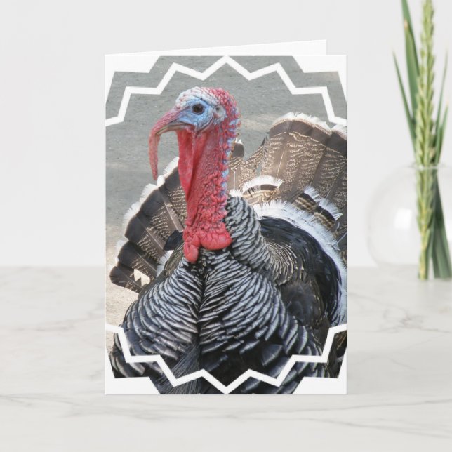 Tarjeta de felicitación de imágenes de Wild Turkey (Anverso)