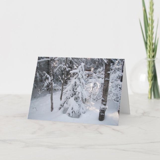Tarjeta de felicitación de invierno (Anverso)