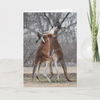 Tarjeta de felicitación de KangaROOS que lucha