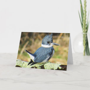 Tarjeta de felicitación de Kingfisher amaestrada