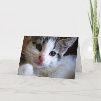 Tarjeta de felicitación de Kitty