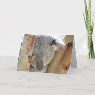 Tarjeta de felicitación de Koala durmiente