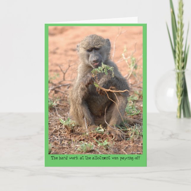 Tarjeta de felicitación de la asignación (Anverso)