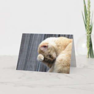 Tarjeta de felicitación de la belleza