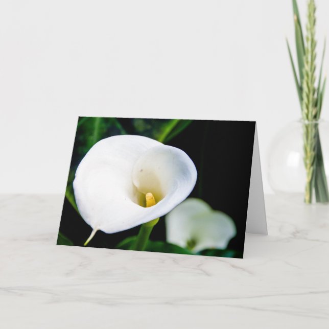 Tarjeta de felicitación de la cala (Anverso)