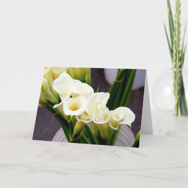 tarjeta de felicitación de la cala (Anverso)