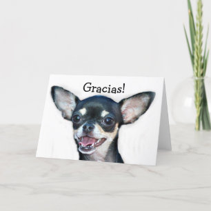 Tarjeta de felicitación de la chihuahua de Gracias