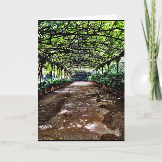 Tarjeta de felicitación de la colección de España (Anverso)