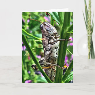 Tarjeta de felicitación de la colección de los