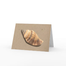 Tarjeta de felicitación de la concha marrón y tan 