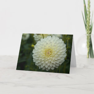 Tarjeta de felicitación de la dalia el  