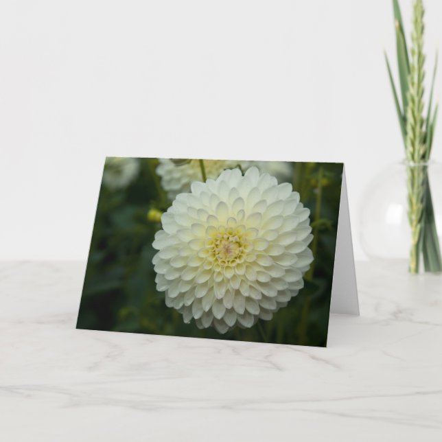 Tarjeta de felicitación de la dalia el | (Anverso)